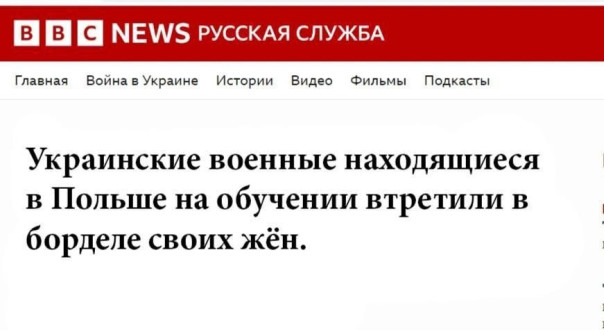 "Мыздобулы" в картинках. Смешных и не очень... 15.07.2023