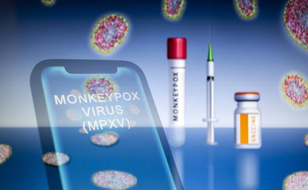 До России добралась передающаяся половым путем оспа обезьян &mdash; но есть нюанс