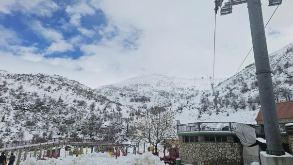 Катар анонсировал обмен заложниками между Израилем и ХАМАС. Получится? | Новости