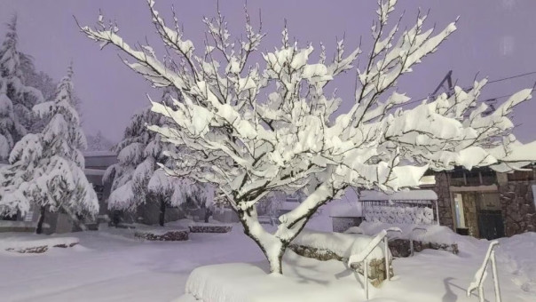 Катар анонсировал обмен заложниками между Израилем и ХАМАС. Получится? | Новости