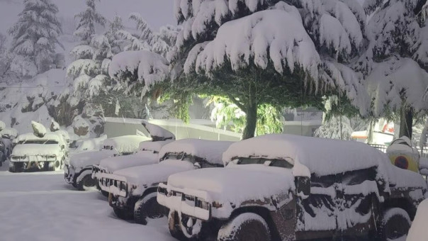 Катар анонсировал обмен заложниками между Израилем и ХАМАС. Получится? | Новости