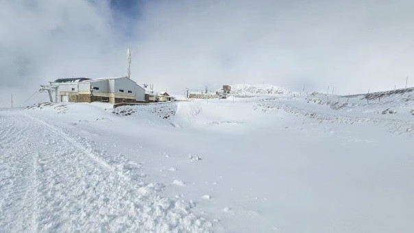 Катар анонсировал обмен заложниками между Израилем и ХАМАС. Получится? | Новости