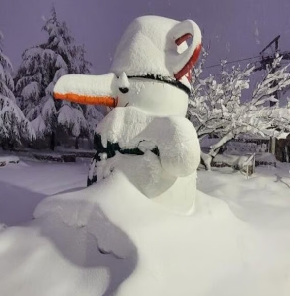 Катар анонсировал обмен заложниками между Израилем и ХАМАС. Получится? | Новости