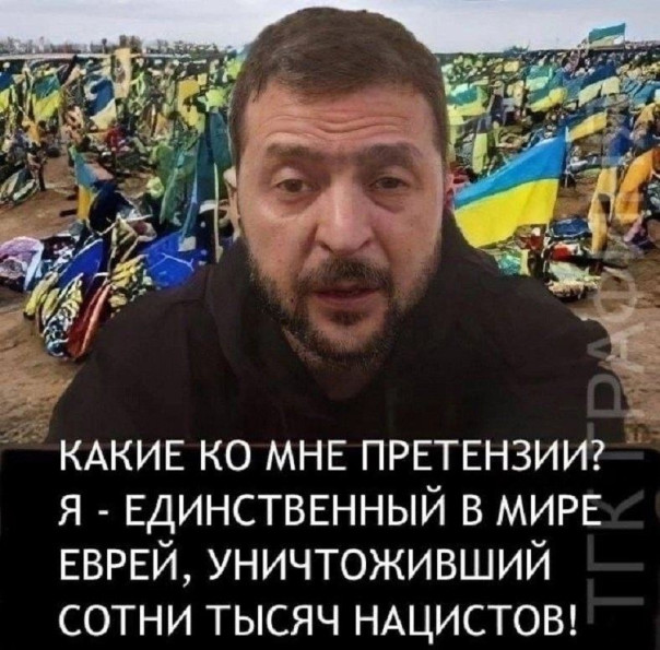 "Мыздобулы" в картинках. Смешных и не очень... 08.01.2024