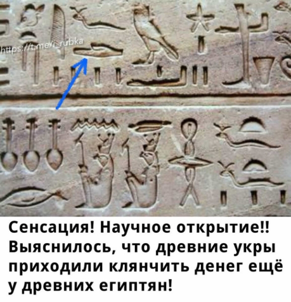 "Мыздобулы" в картинках. Смешных и не очень... 08.01.2024