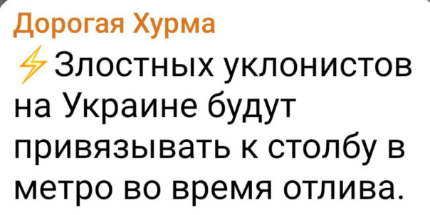 "Мыздобулы" в картинках. Смешных и не очень... 08.01.2024