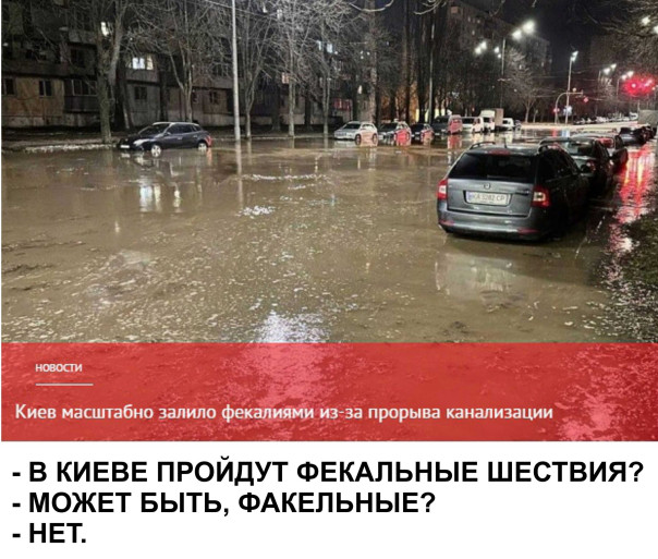 "Мыздобулы" в картинках. Смешных и не очень... 08.01.2024