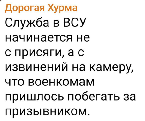 "Мыздобулы" в картинках. Смешных и не очень... 08.01.2024