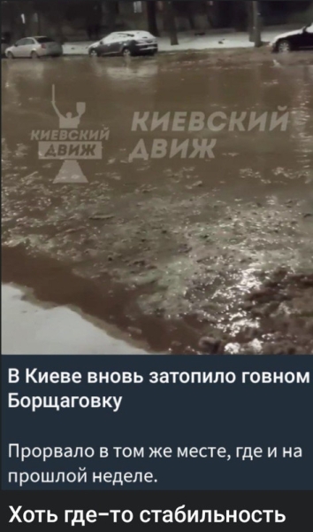 "Мыздобулы" в картинках. Смешных и не очень... 14.01.2024