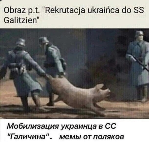 "Мыздобулы" в картинках. Смешных и не очень... 14.01.2024