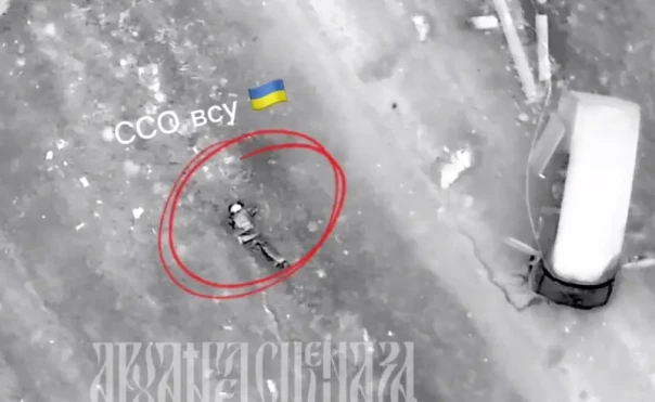 Обнулить е. Обнулить е. Bmw e39 oil service. Для сброса сервисного интервала е39. Разъем самодиагностики тойота королла 100.