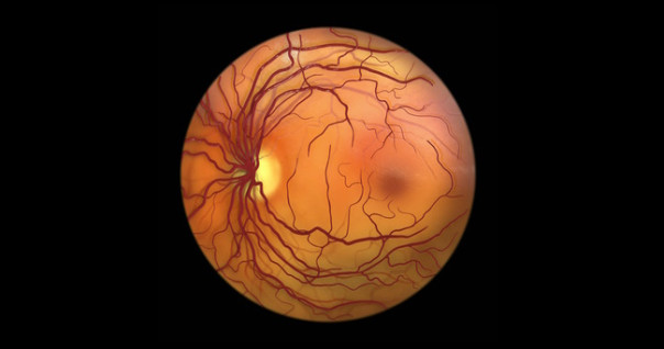 Во власти иллюзий: 5 способов, которыми мозг обманывает зрение