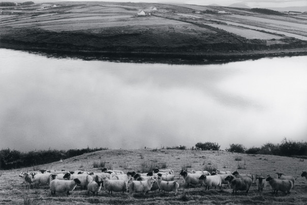 Во власти иллюзий: 5 способов, которыми мозг обманывает зрение