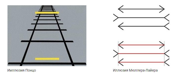 Во власти иллюзий: 5 способов, которыми мозг обманывает зрение