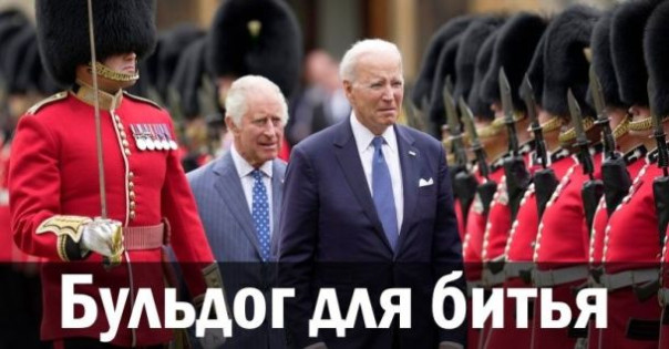 Бульдог для битья. Анатолий Урсида