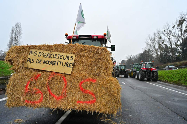 Просто вилы: почему фермеры вышли на протесты по всей Европе