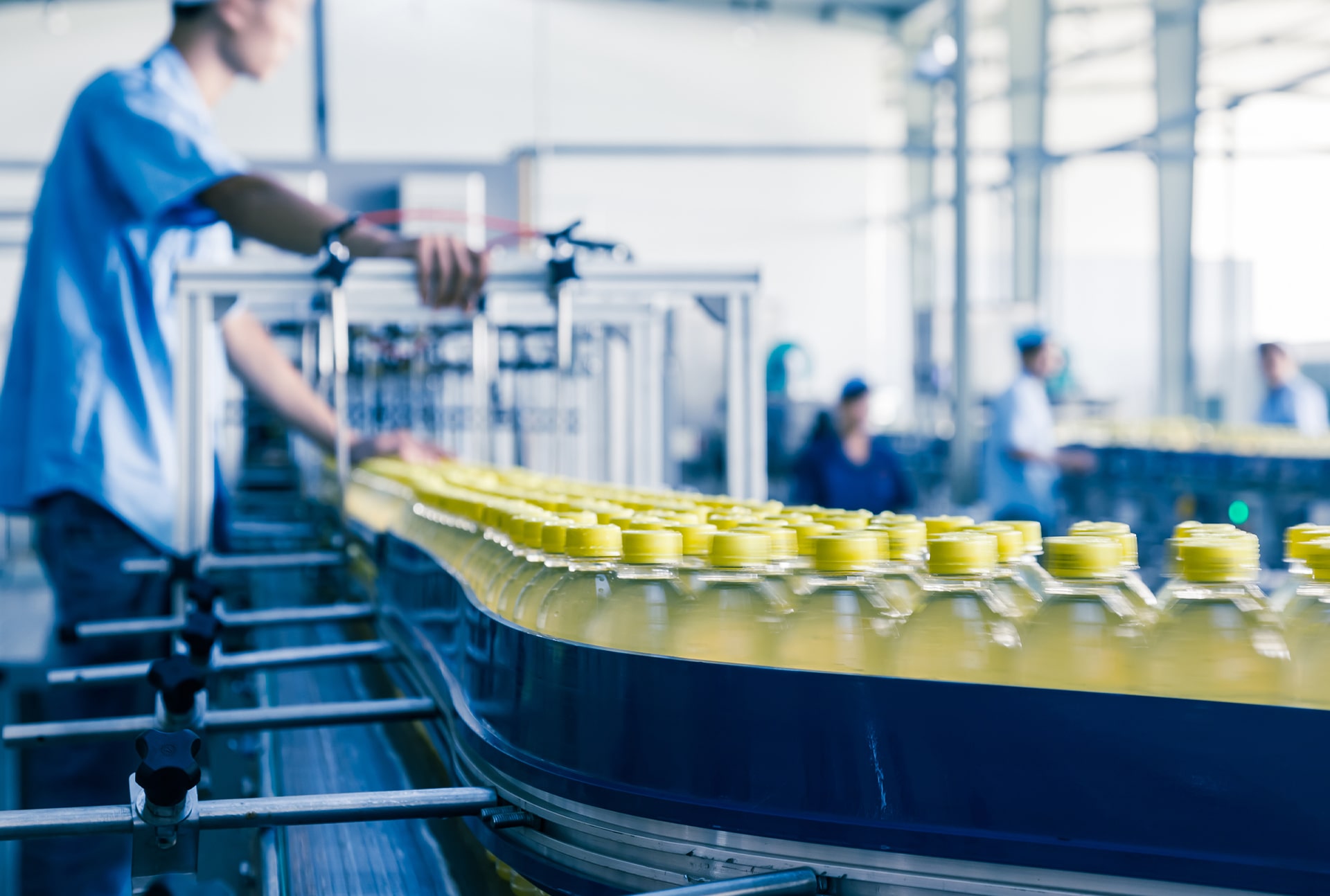 Сущность стандартов пищевой промышленности