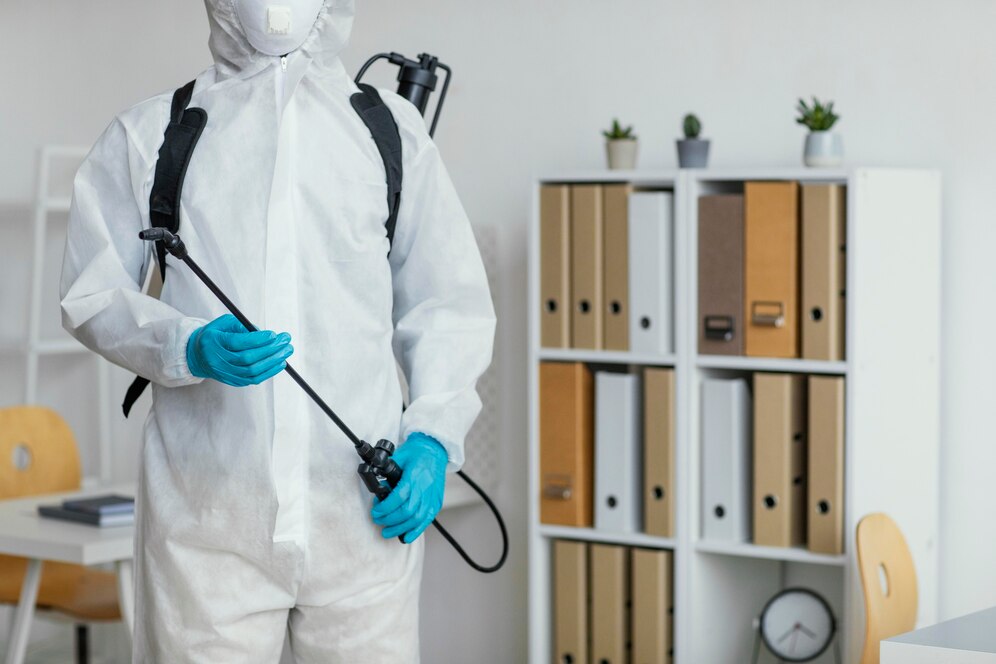 Дезинсекция — что это и для чего необходимо?