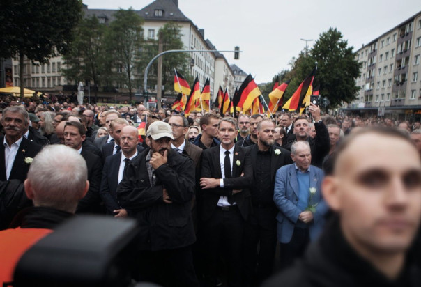 Европарламент ждет &laquo;Альтернатива&raquo;