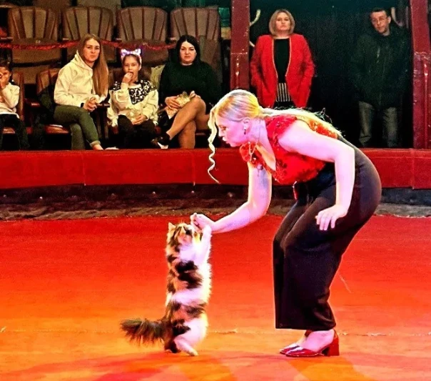 Клоуны своих не бросают