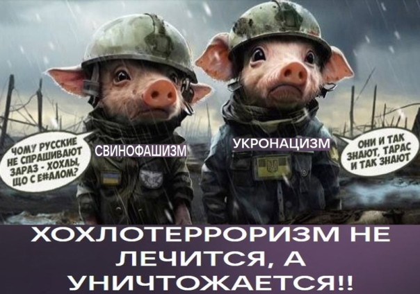 "Мыздобулы" в картинках. Смешных и не очень... 07.04.2024