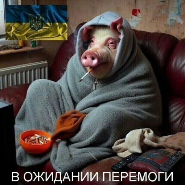 "Мыздобулы" в картинках. Смешных и не очень... 07.04.2024