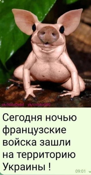 "Мыздобулы" в картинках. Смешных и не очень...21.04.2024