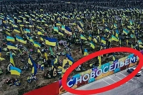 "Мыздобулы" в картинках. Смешных и не очень...21.04.2024