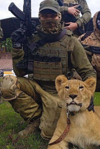 Руководитель СК РФ поручил возбудить уголовное дело после сообщений об избиении петербургскими правоохранителями ветерана спецоперации