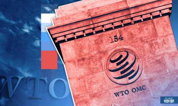 Не стрелять себе в ногу. Почему Россия не выходит из ВТО