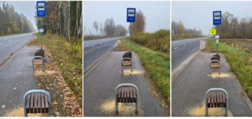 Уроки прибалтийской истории