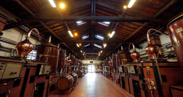 Зуб за зуб, бокал за бокал