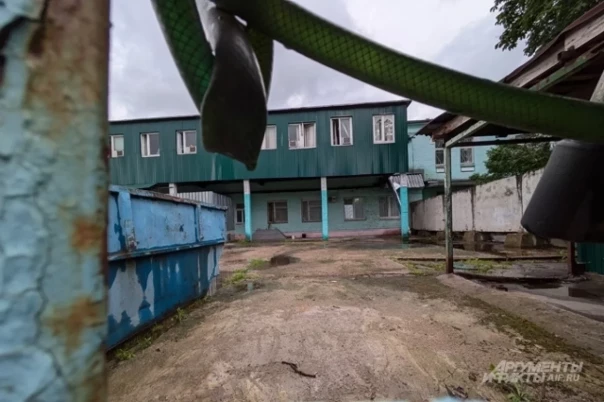 Роспотребнадзор выявил поставщиков еды, приведшей к массовым отравлениям