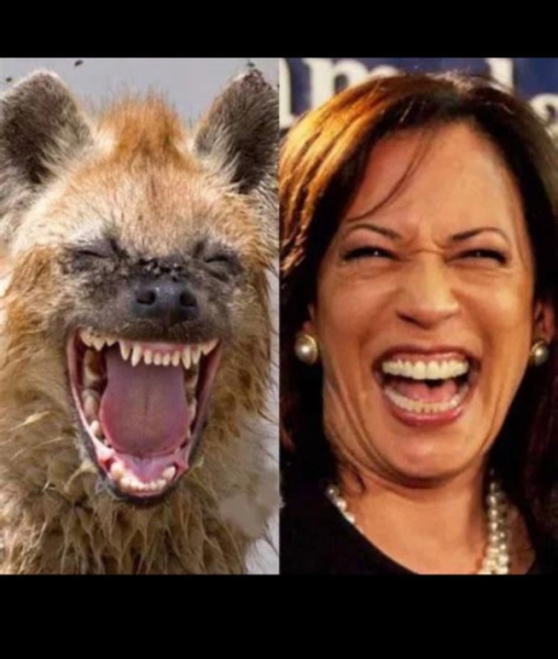 "Мыздобулы" в картинках. Смешных и не очень...28.07.2024