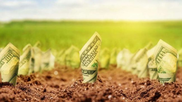 Планы Зеленского: агросектор — под нож, крестьян — в рабство к Дюпонам и Ко.