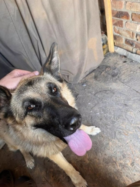 "Сын ушел &mdash; и я за ним". Что происходит на самом тяжелом участке фронта