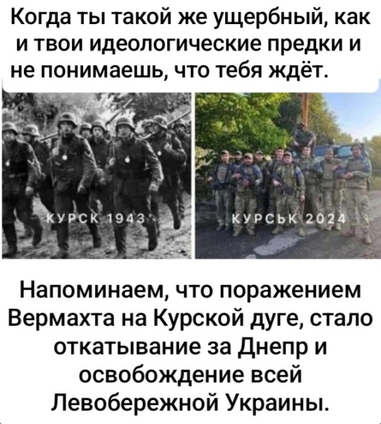 "Мыздобулы" в картинках. Смешных и не очень...17.08.2024