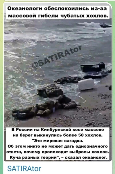 "Мыздобулы" в картинках. Смешных и не очень...17.08.2024