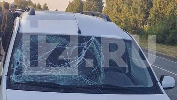 Расследование подтвердило нахождение экс-депутата Рашкина на месте ДТП с лосем