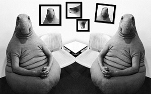 Видели ночь... орали песни и кричалки, гуляли всю ночь до утра