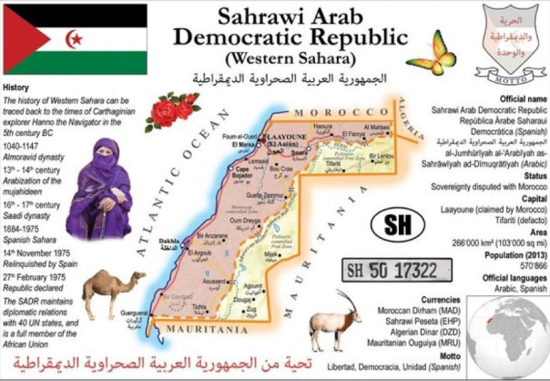 Африка как поле боя: в Мадриде плетут интриги против России в Сахеле