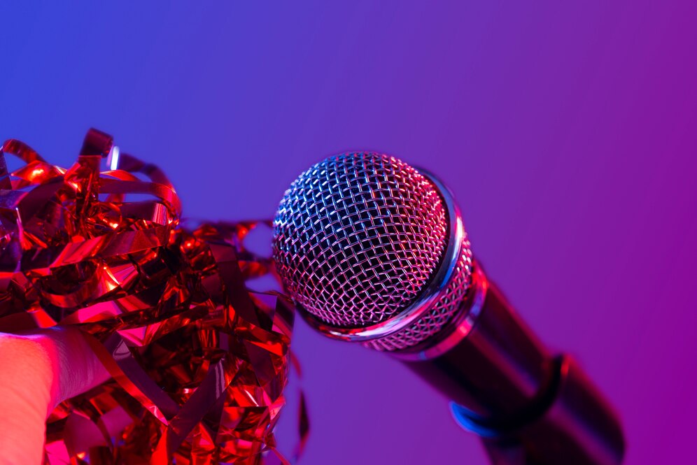 Персональный зал с караоке для отдыха в своей компании: какие особенности