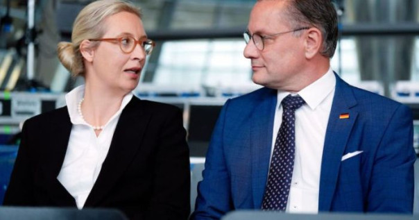 Германская оппозиция планирует победить глобалистов их же оружием