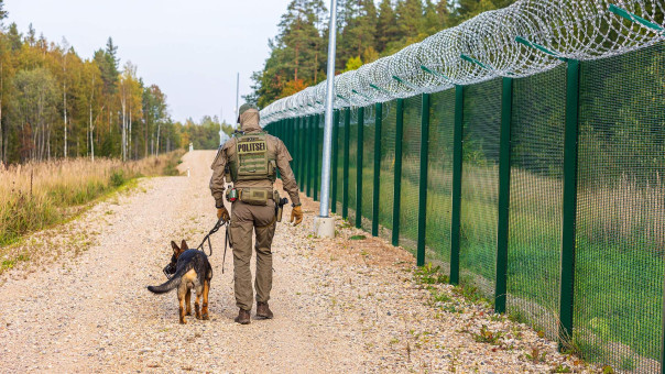 Храм НАТО на картошке: зачем Эстония строит сотни бункеров на границе с Россией