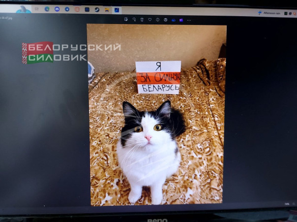 Типичные представители белорусской оппозиции