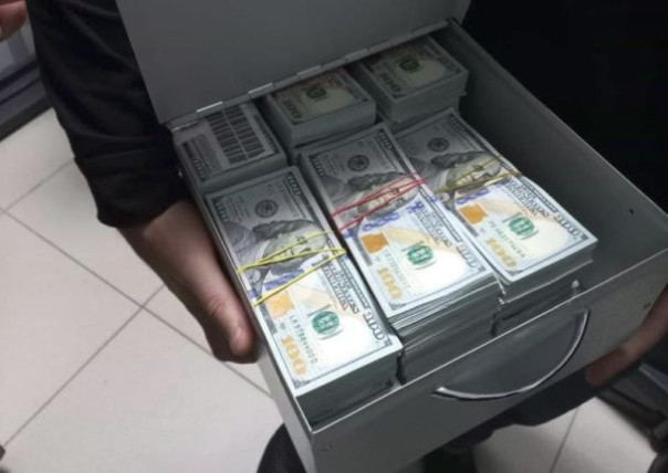 Миллионы в тумбочке. Депутат из &laquo;Слуги народа&raquo; вместе с сыном &laquo;заработала&raquo; на уклонистах более 6 миллионов долларов