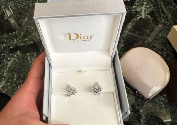 Миллионы в тумбочке. Депутат из &laquo;Слуги народа&raquo; вместе с сыном &laquo;заработала&raquo; на уклонистах более 6 миллионов долларов