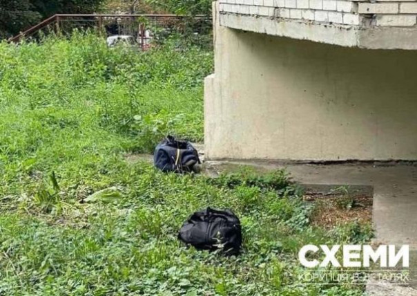 Миллионы в тумбочке. Депутат из &laquo;Слуги народа&raquo; вместе с сыном &laquo;заработала&raquo; на уклонистах более 6 миллионов долларов