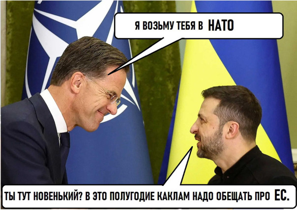 "Мыздобулы" в картинках. Смешных и не очень...06.10.2024