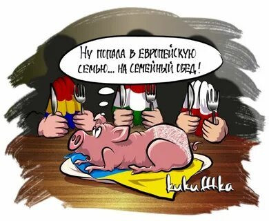 "Мыздобулы" в картинках. Смешных и не очень...20.10.2024